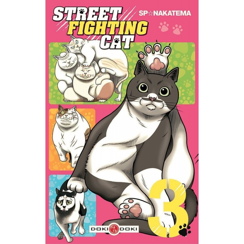 Street Fighting Cat, manga, seinen, 9782818942826