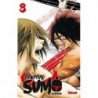 Hinomaru Sumo T.08
