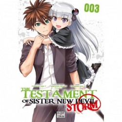 The testament of sister new devil - storm T.03