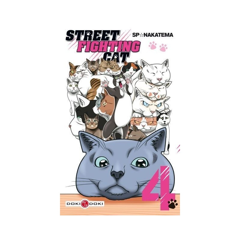 Street Fighting Cat, manga, seinen, 9782818943748