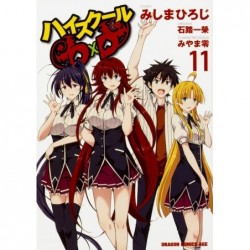 High School DxD T.11