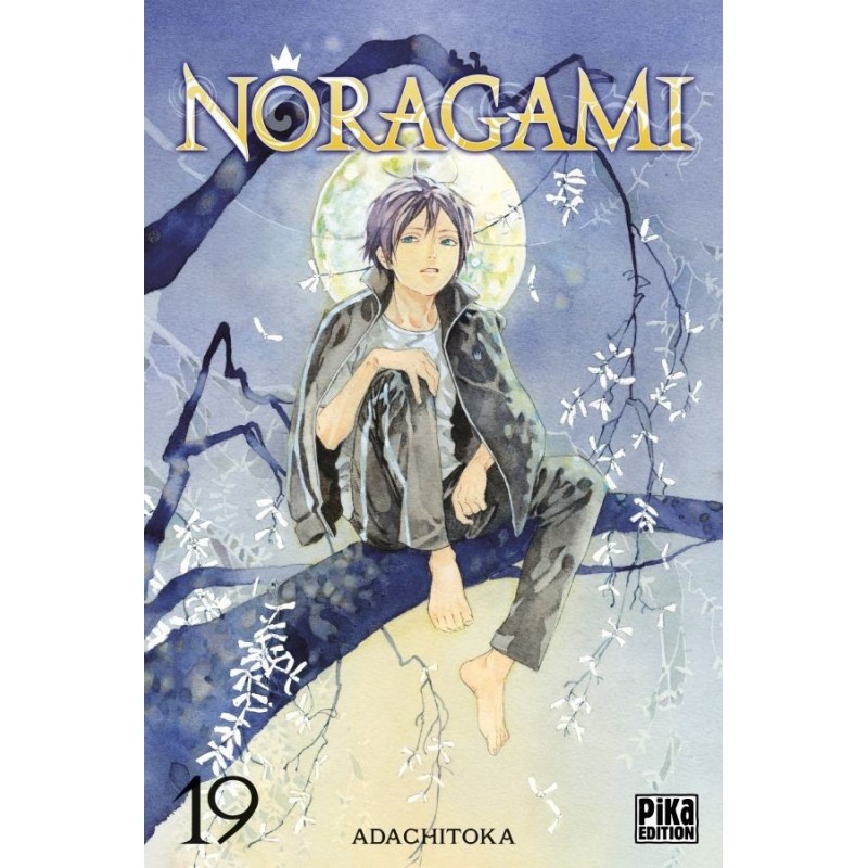 Noragami T.19 Noragami T.19