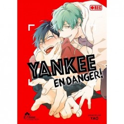 Yankee en danger ! T.01