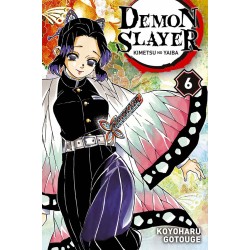 Demon Slayer T.06