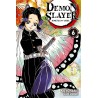 Demon Slayer T.06