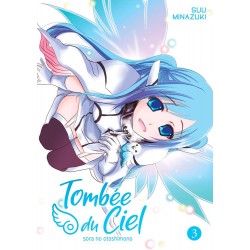 Tombée du Ciel T.03