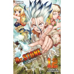Dr Stone T.12