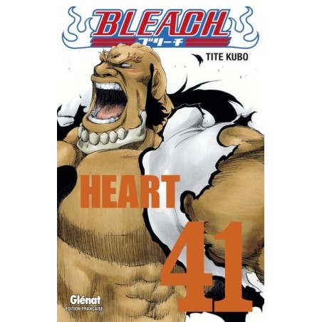 Bleach T.41