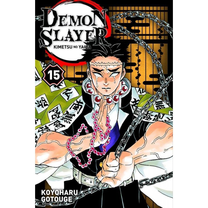 Demon Slayer T.15 Demon Slayer T.15