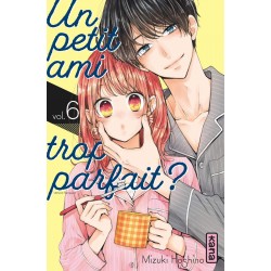 Petit ami trop parfait (un) T.06