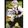 Demon Slayer T.17