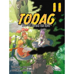 TODAG - Tales of Demons and Gods T.11