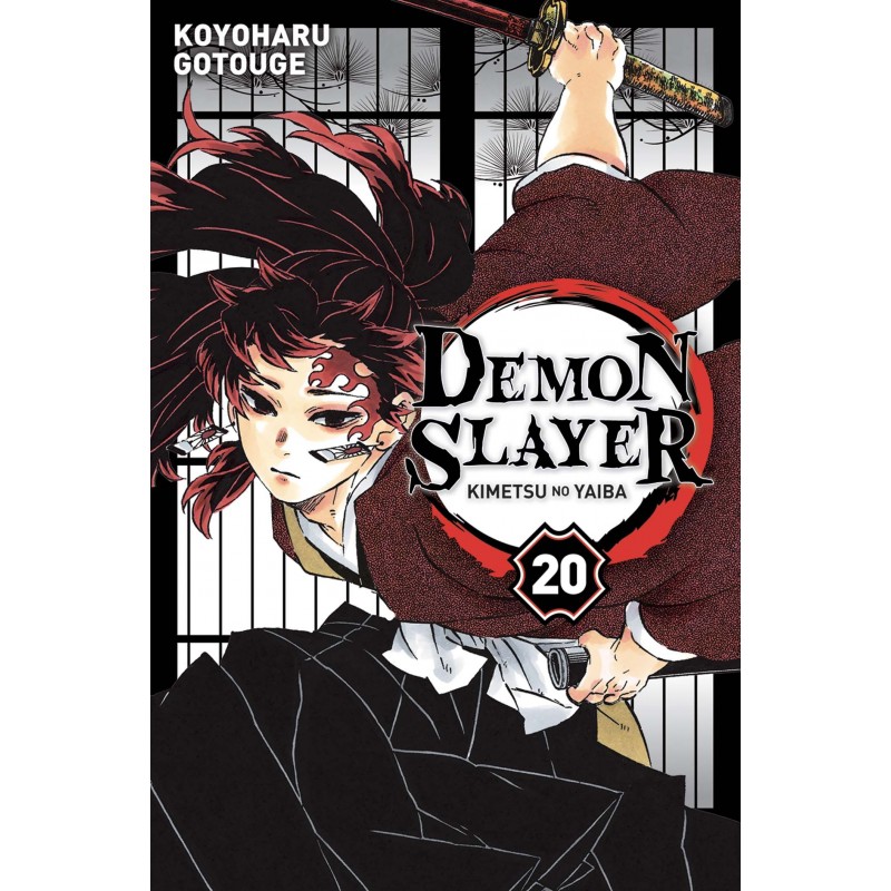 Demon Slayer T.20 Demon Slayer T.20