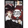 Demon Slayer T.20