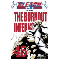 Bleach T.45