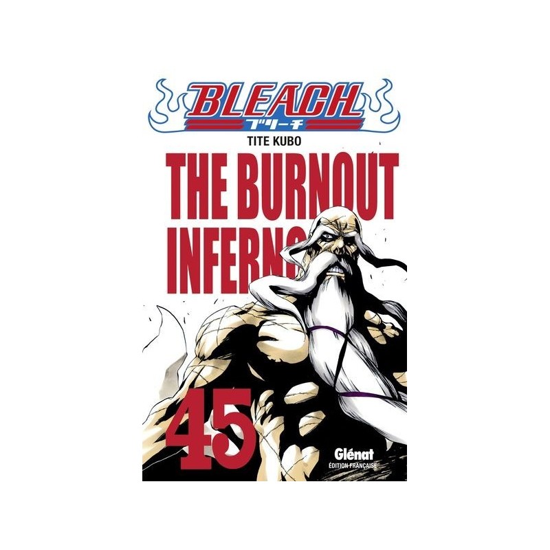 Bleach T.45 Bleach T.45