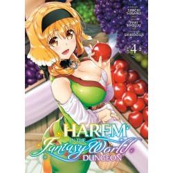 Harem in the Fantasy World Dungeon T.04