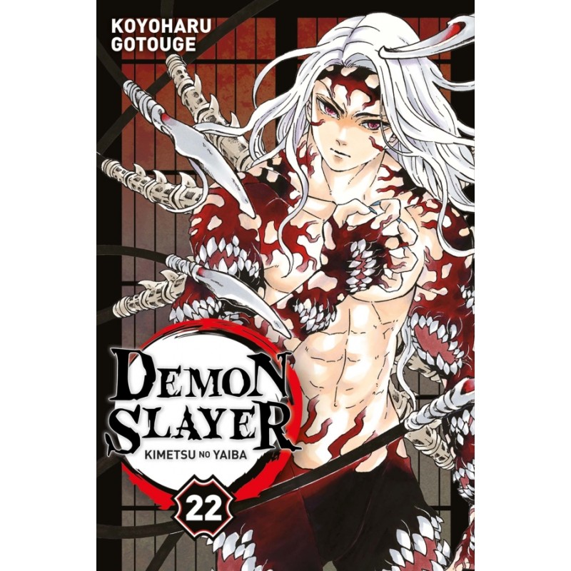 Demon Slayer T.22 Demon Slayer T.22