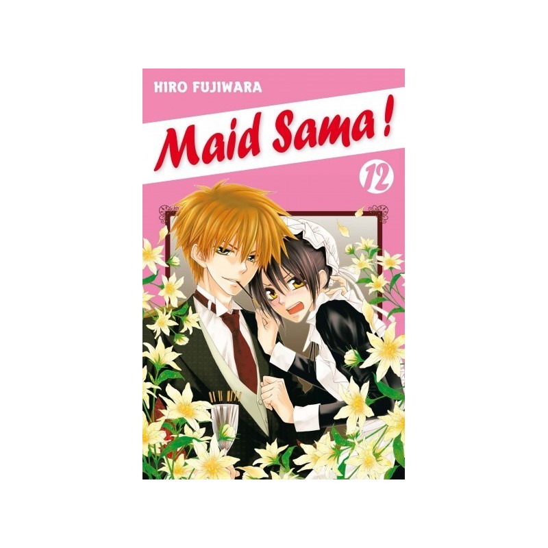 Maid Sama T.12