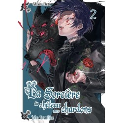 Sorcière du château aux chardons (la) T.02