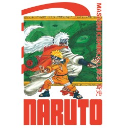 Naruto - Edition Hokage T.06