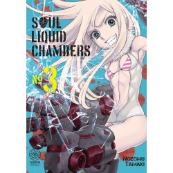 Soul Liquid Chambers T.03