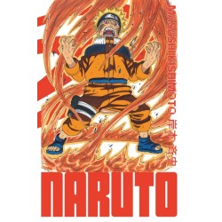 Naruto - Edition Hokage T.13
