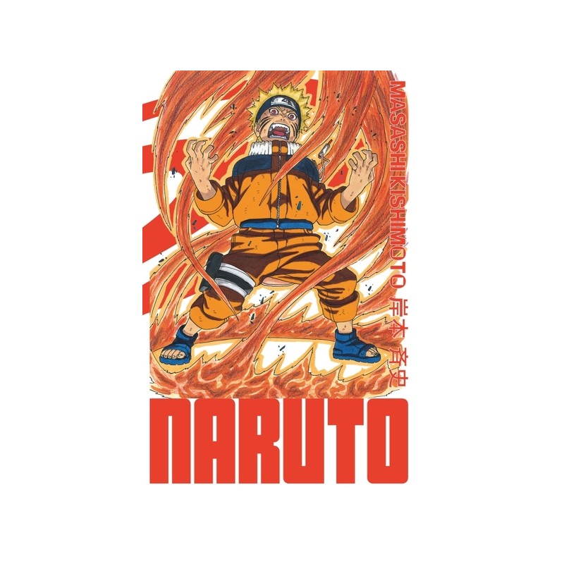 Naruto - Edition Hokage T.13