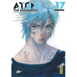 Atom - The Beginning T.17