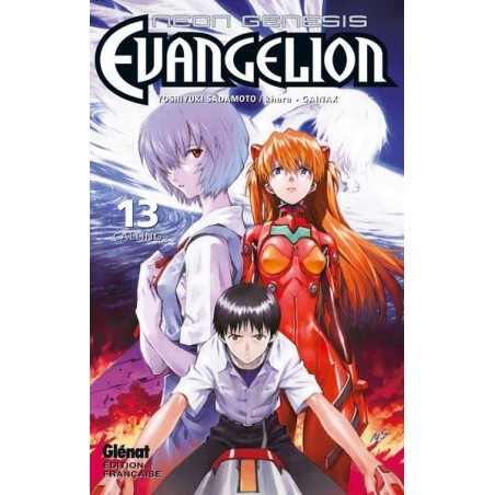 Neon Genesis Evangelion T.13