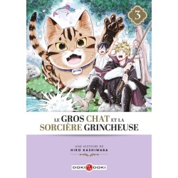 Gros Chat et la Sorcière grincheuse (Le) T.02