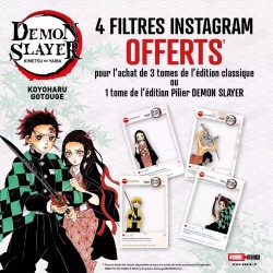 Opération Demon Slayer : Un set de 4 filtres instagram offert