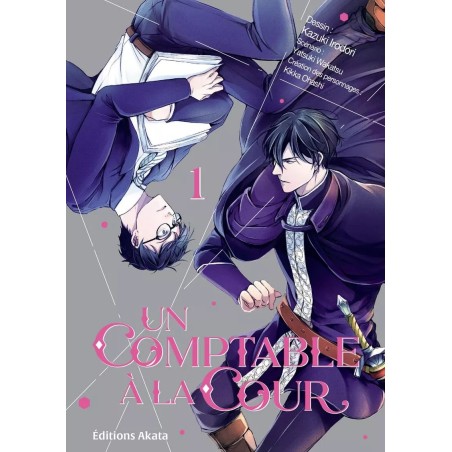 Comptable à la Cour (un) T.01