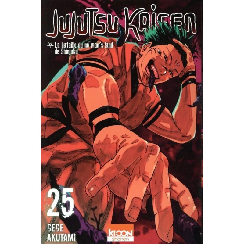 Jujutsu Kaisen T.25 Jujutsu Kaisen T.25