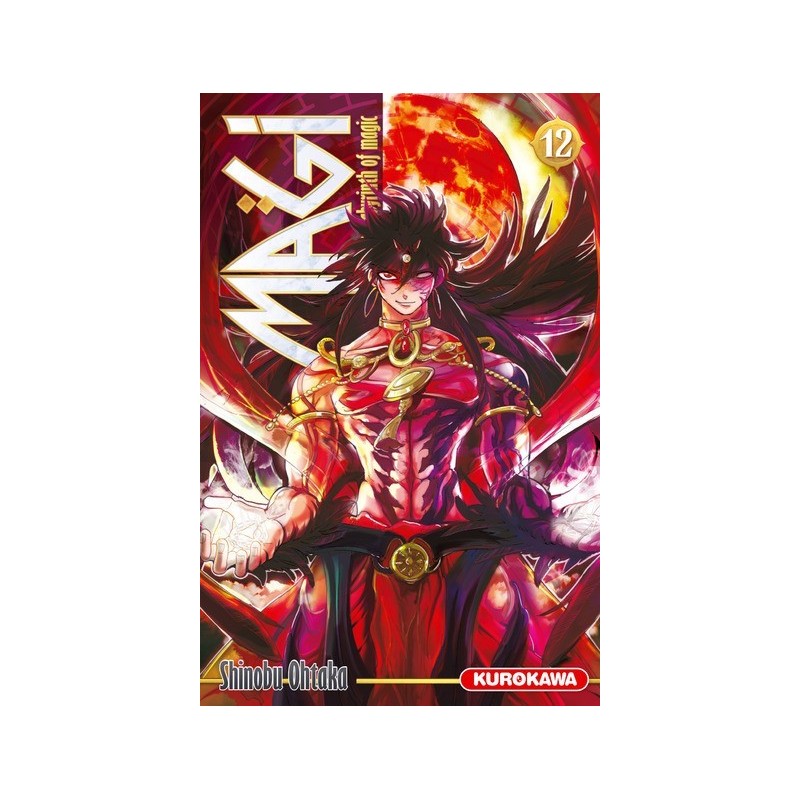 Magi - The Labyrinth of Magic T.12