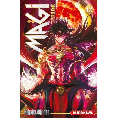 Magi - The Labyrinth of Magic T.12