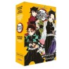 Coffret Demon Slayer T.15 & Roman jeunesse T.06