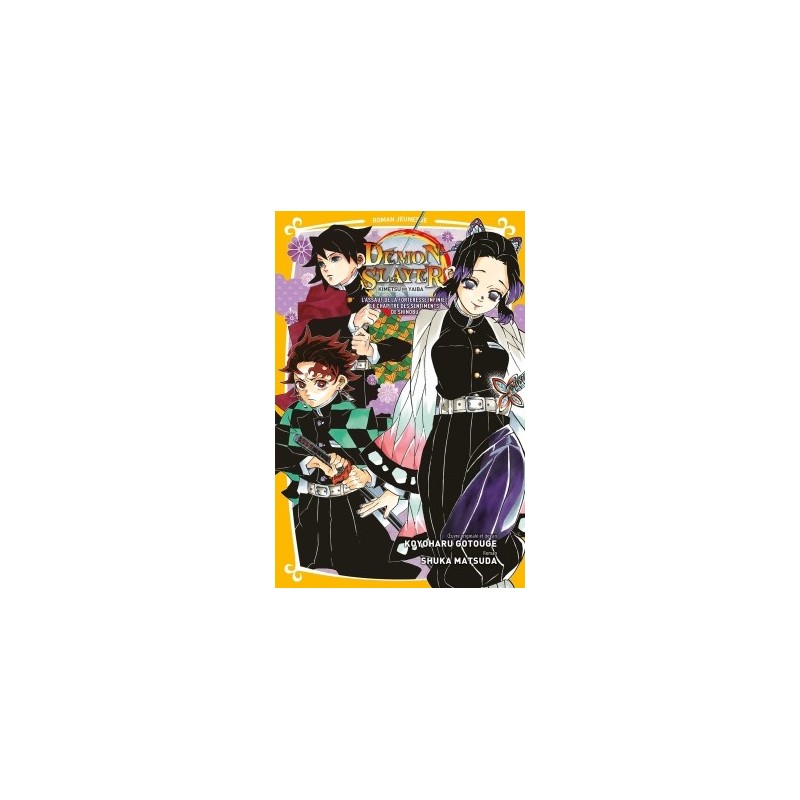 Demon Slayer T.06 : L'assaut de la forteresse infinie - Roman