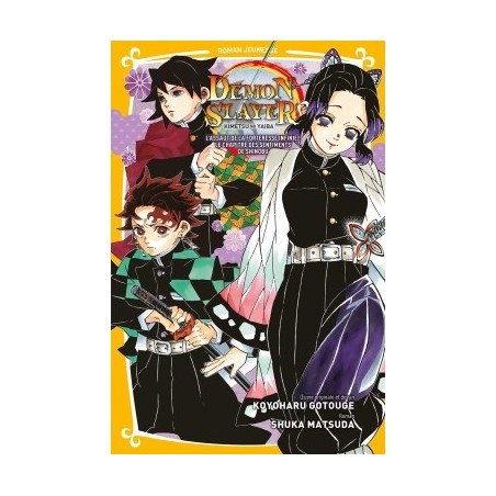 Demon Slayer T.06 : L'assaut de la forteresse infinie - Roman