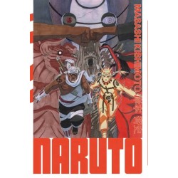 Naruto - Edition Hokage T.29