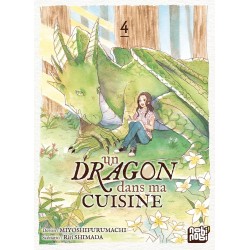 Un dragon dans ma cuisine T.04