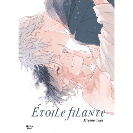 Étoile filante