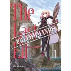 The Last Elf, le Salut des Esprits T.01