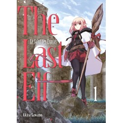 The Last Elf, le Salut des Esprits T.01