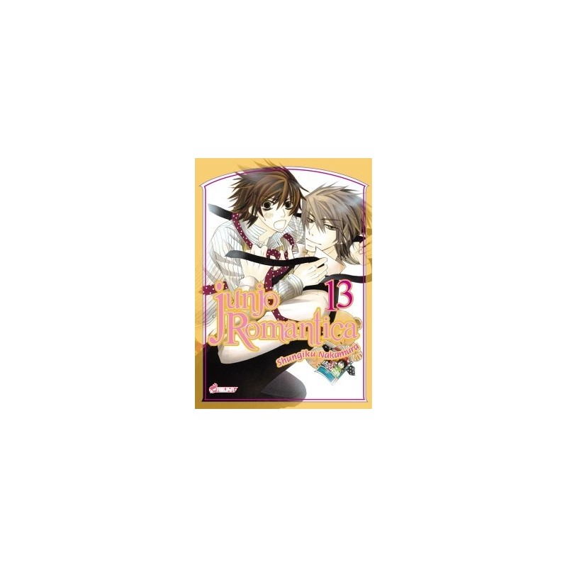 Junjô Romantica T.13 Junjô Romantica T.13