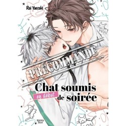 Chat soumis en début de soirée