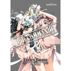Elven Bride: Rebridal