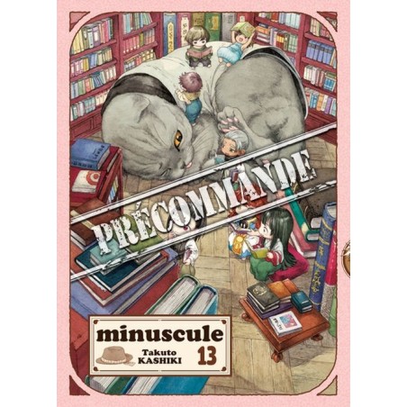 Minuscule T.13