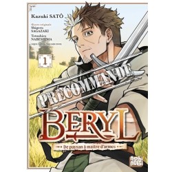Beryl : de paysan à maître d'armes T.01