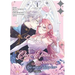 Cher époux inconnu, je veux divorcer T.01